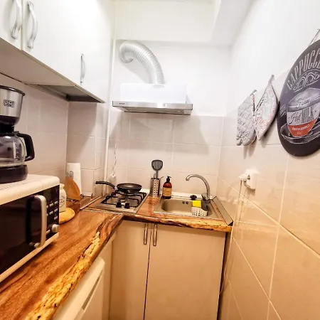 Apartment Brezoianu Central Town Studio Bukarest